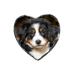 Ardoise à photo en coeur 14x14